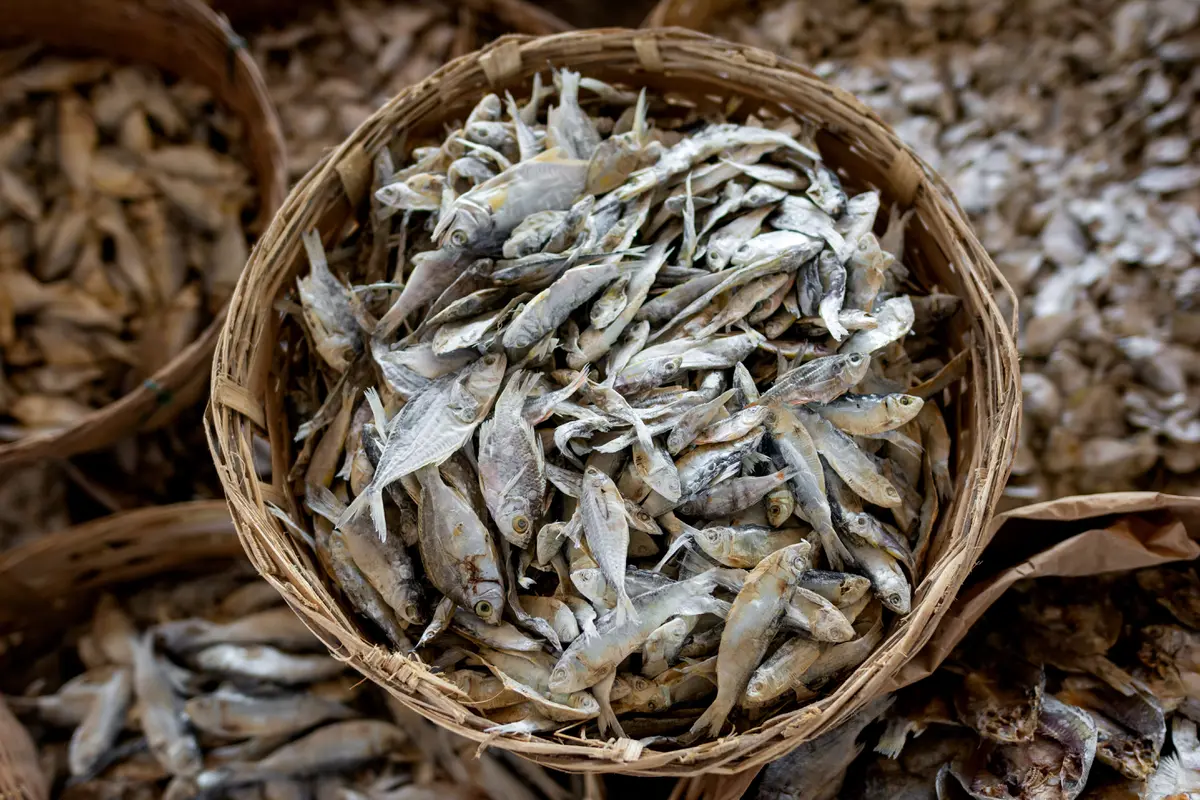 ikan asin