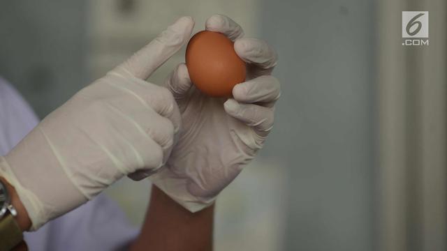 Heboh Telur  Palsu karena Tidak Semua Tahu Bagian Telur  Ini 