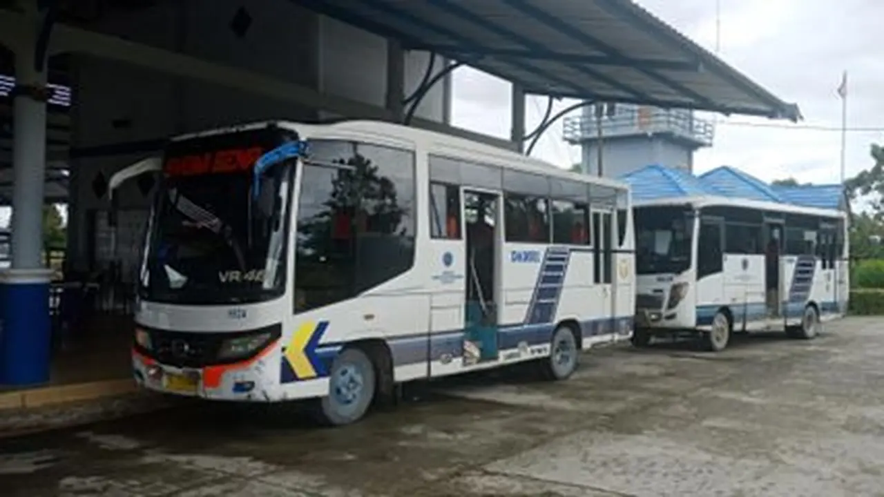 Bus perintis