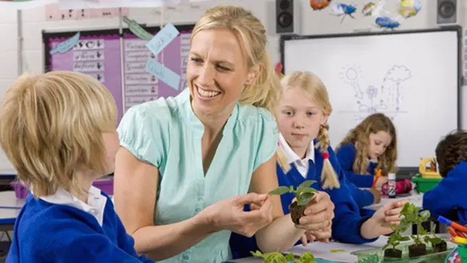 Ilustrasi (c) telegraph .co.uk