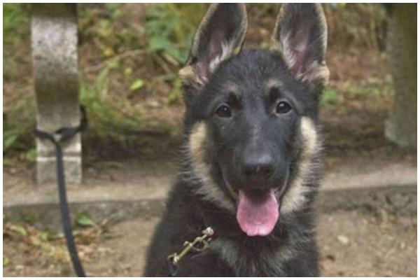 Foto : copyright closeronline.co.uk