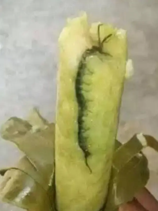 benda di makanan