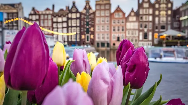 Amsterdam, Belanda