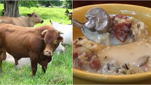 (c)listverse.com/wikipedia.org