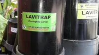 Cegah Zika, Perangkap Larva Dipasang di Bandara Soetta