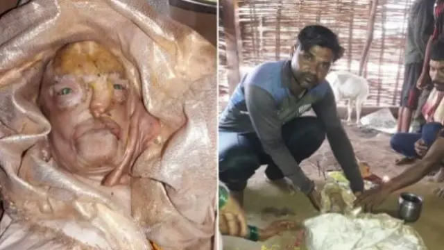 Viral Anak Kambing Lahir Mirip Wajah Manusia, Dipuja Warga Bak Dewa