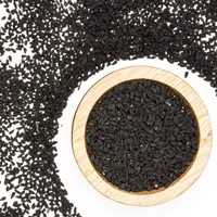 ilustrasi Manfaat Habbatussauda untuk Kesehatan yang Jarang Diketahui/PIXbank CZ/shutterstock