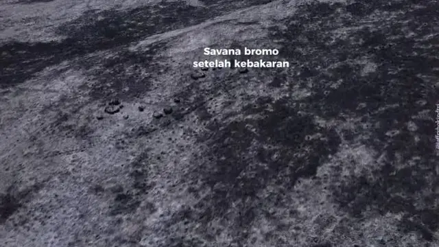 6 Potret Savana Bromo Dilihat Dari Drone Setelah Kebakaran, Tampak Hangus