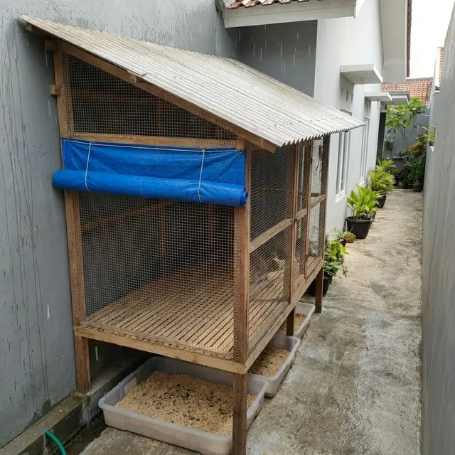 Model Kandang Ayam di Gang Sempit