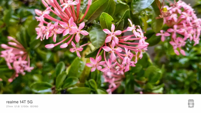 <p>Hasil foto kamera belakang Realme 14T 5G. (Liputan6.com/Agustinus M. Damar) </p>