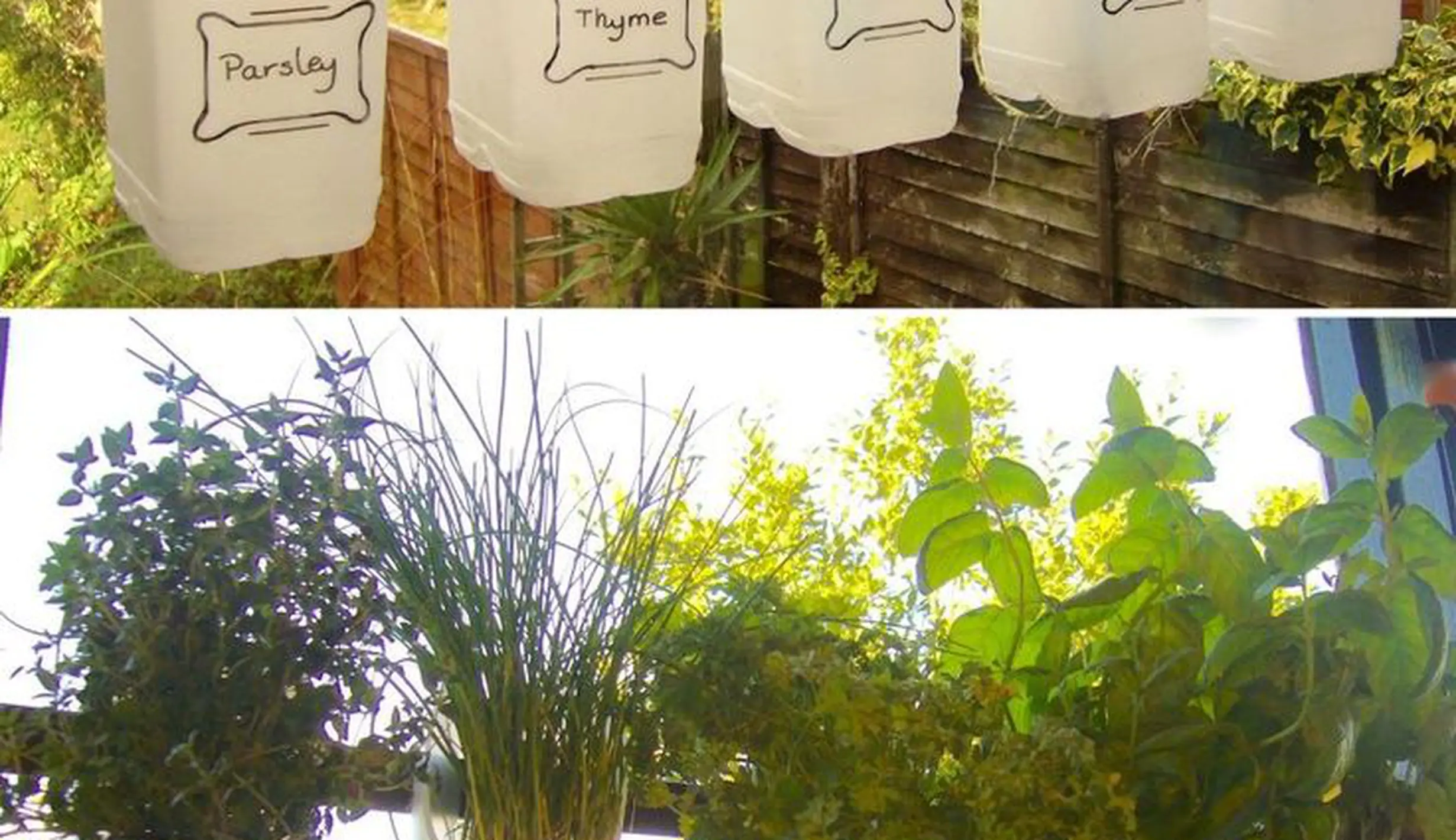 Manfaatkan Botol, Sekian DIY Ini Bisa Dilakukan Sendiri di Rumah ...