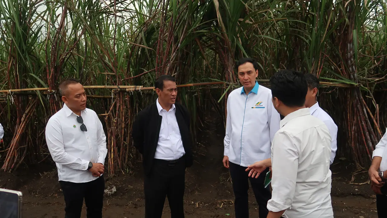 Andi Amran Sulaiman (jaket hitam) saat berbincang dengan Wagub Jatim, Emil Dardak dan perwakilan PT. Industri Gula Glenmore (istimewa).