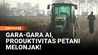 Revolusi AI di Ladang Kentang, Produktivitas Petani India Melonjak