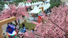 Suasana acara Orange County Sakura Matsuri, Lippo Cikarang, Sabtu (8/4). Acara yang diselenggarakan keenam kalinya ini sebagai bentuk upaya membangun persahabatan Indonesia Jepang sekaligus menyambut musim semi di Jepang. (Liputan6.com/Fery Pradolo)