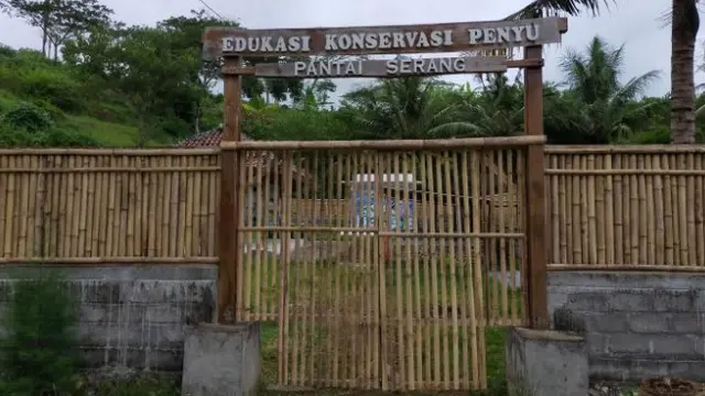 Edukasi Konservasi Penyu