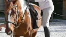Nicole de Villeneuve (89) bersiap menaiki kuda selama latihan stabil berkuda di Arcachon (24/4). Nicole kembali berkuda pada September tahun lalu dan mengaku tidak memiliki kekuatan fisik yang sama seperti sebelumnya. (AFP Photo/Georges Gobet)