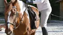 Nicole de Villeneuve (89) bersiap menaiki kuda selama latihan stabil berkuda di Arcachon (24/4). Nicole kembali berkuda pada September tahun lalu dan mengaku tidak memiliki kekuatan fisik yang sama seperti sebelumnya. (AFP Photo/Georges Gobet)