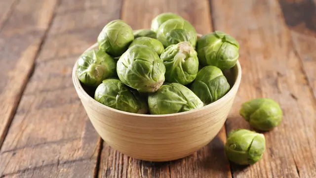 kubis brussels sprout