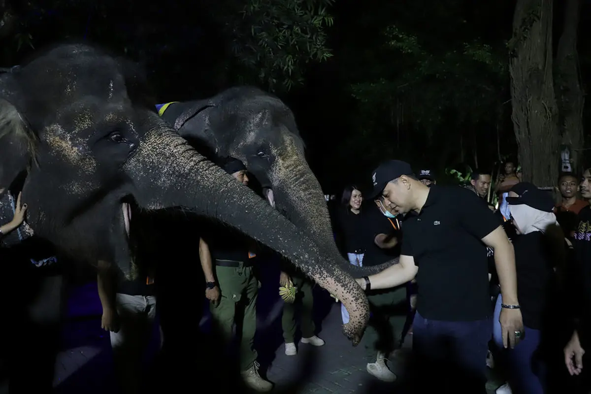 Eri Cahyadi saat menikmati ujicoba pembukaan  Surabaya Night Zoo. (Istimewa)
