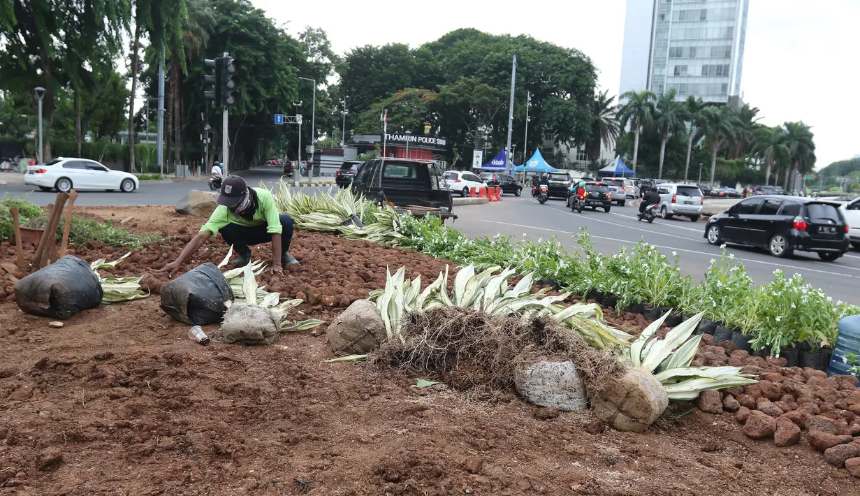 Petugas Dinas Kehutanan DKI menanami tanaman hias di sekitar instalasi batu gabion yang kembali dipasang di kawasan Bundaran HI, Jakarta, Sabtu (4/1/2020). Instalasi gabion di lokasi tersebut sempat dibongkar untuk dijadikan panggung saat perayaan malam tahun baru. (Liputan6.com/Herman Zakharia)