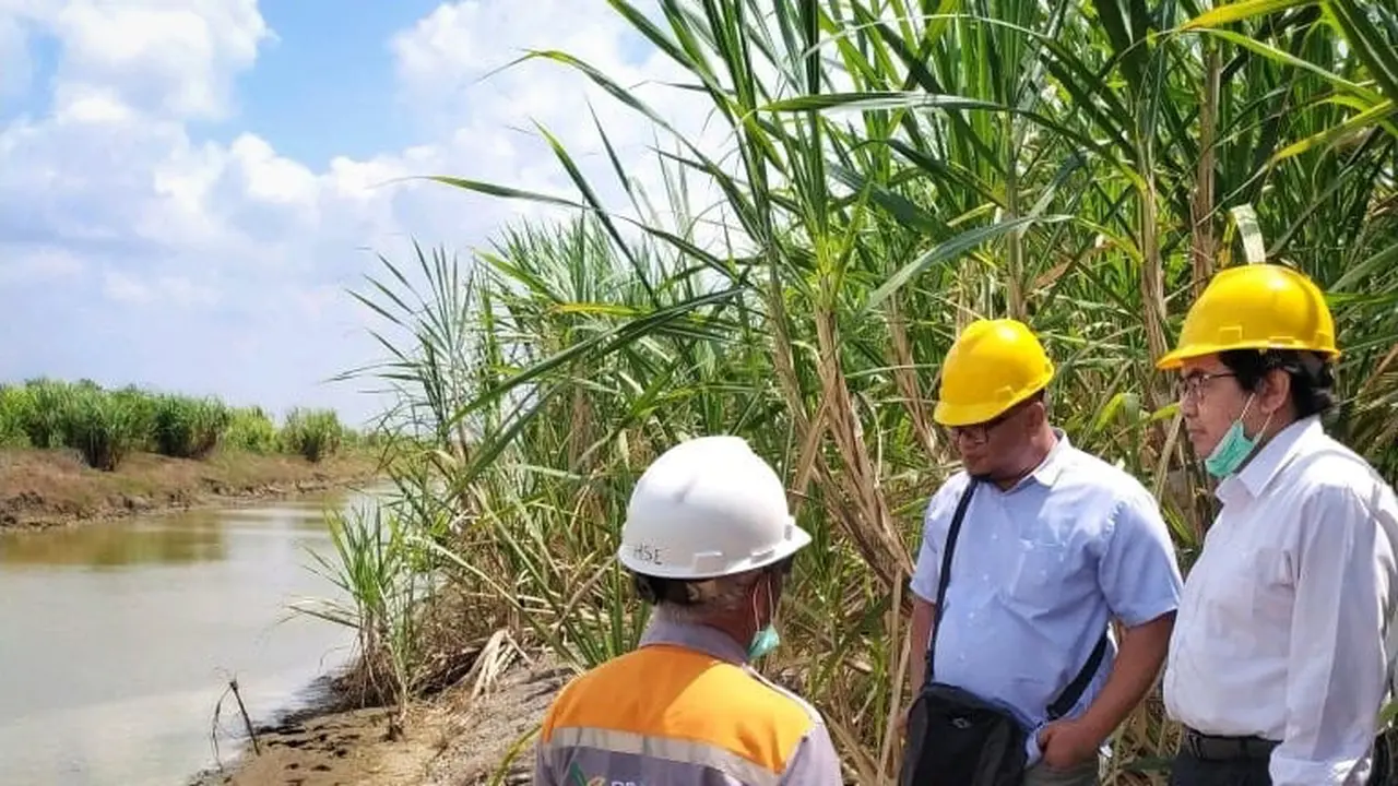 Sistem Pembelian Tebu (SPT) Memajukan Petani dan  Pabrik Gula