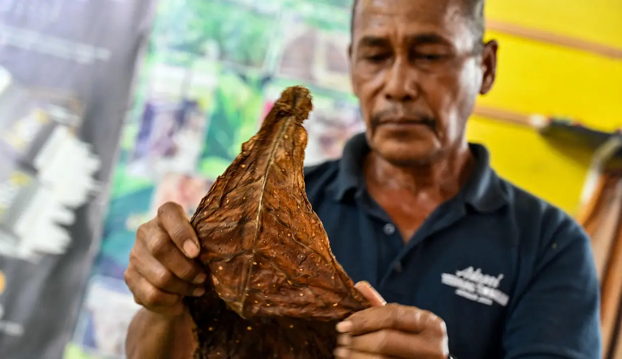 Bambang mengatakan regulasi ini memiliki banyak persyaratan yang justru memberatkan petani, produsen, konsumen dan pedagang industri hasil tembakau. (CHAIDEER MAHYUDDIN/AFP)