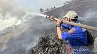 Asap Kebakaran Hutan Kalsel Makin Parah, Utara Bandara Jadi Fokus