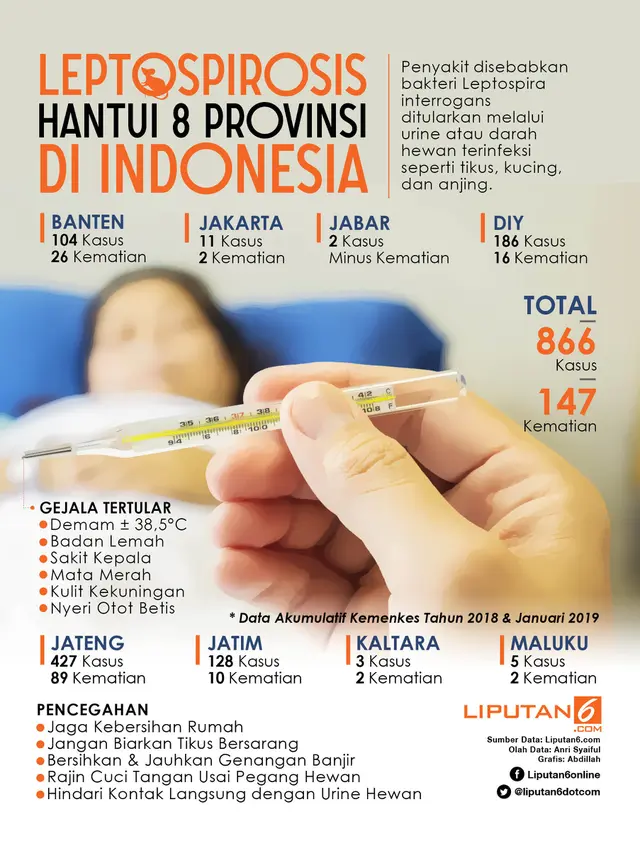 Infografis Leptospirosis Hantui 8 Provinsi di Indonesia