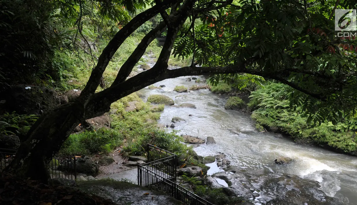 Air terjun Temam yang berada di Kota Lubuklinggau, Sumatera Selatan, Rabu (10/1). Keunikan batu-batuan alam serta pepohonan yang hijau alami menjadikan air Tterjun berjulukan Niagara mini ini sangat memesona. (Liputan6.com/Immanuel Antonius)