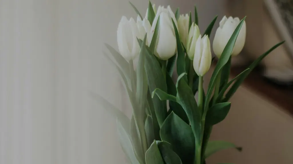 5 Manfaat Memiliki Bunga di Rumah yang Sering Tidak Disadari./copyright. pexels/