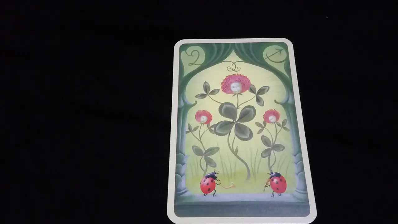Daun Semanggi untuk Tarot Hari Ini Sabtu, 7 Juli 2018 (Foto: Elisabet Kusumodewi)