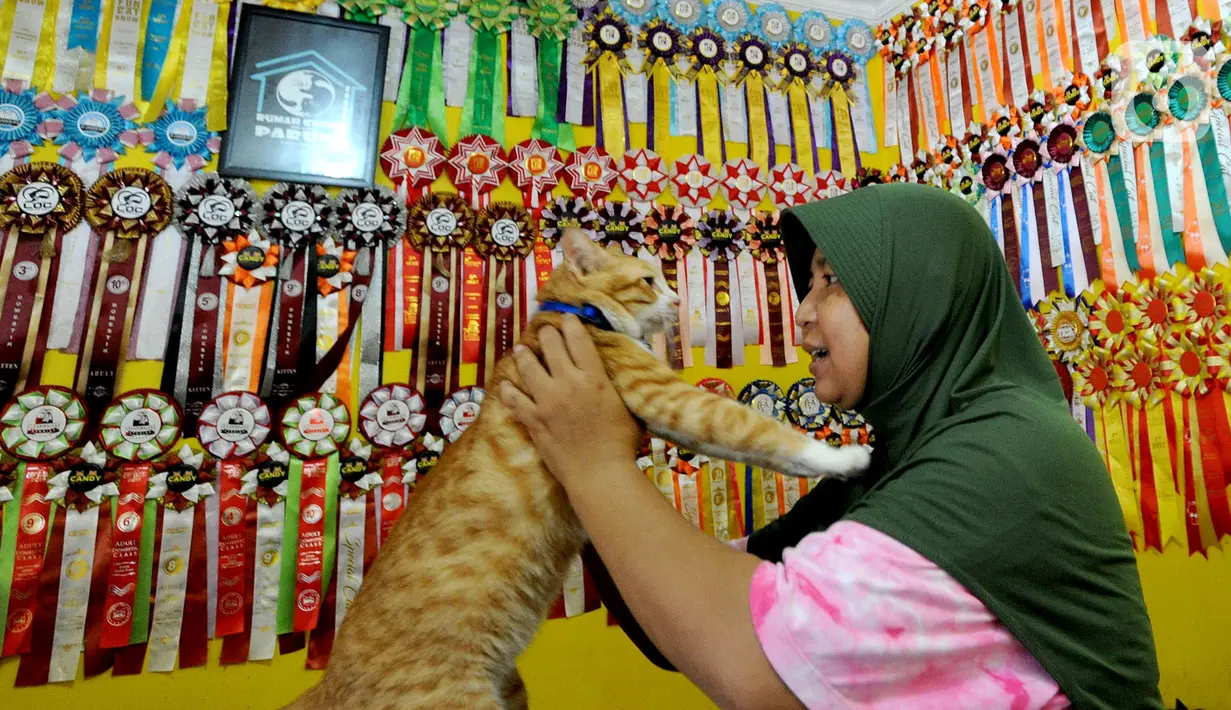 Sehingga Dita bersama suami memutuskan pindah dan menjadikannya tempat tinggalnya sekarang sebagai Rumah Kucing Parung. Kepedulian dan kecintaan pada kucing lokal mendasarinya untuk selalu merawat kucing-kucing yang telantar di jalanan. (merdeka.com/Arie Basuki)