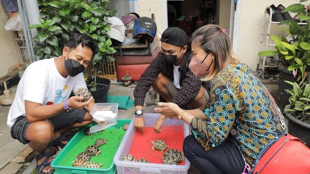 Dimas Bersama Pembeli Kura-Kura