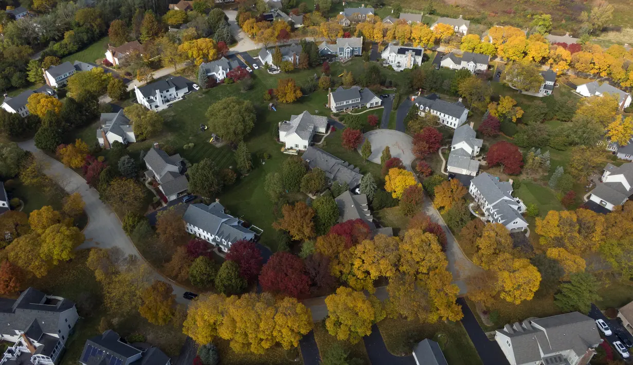 Dalam gambar yang diambil dengan drone ini memperlihatkan warna-warni pepohonan saat musim gugur di subdivisi Flint Creek, Barrington, Illinois, Amerika Serikat, 12 Oktober 2020. (Mark Welsh/Daily Herald via AP)