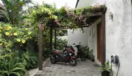 8 Cara Membuat Teras Lebih Teduh Menggunakan Kombinasi Tanaman Rambat dan Pergola