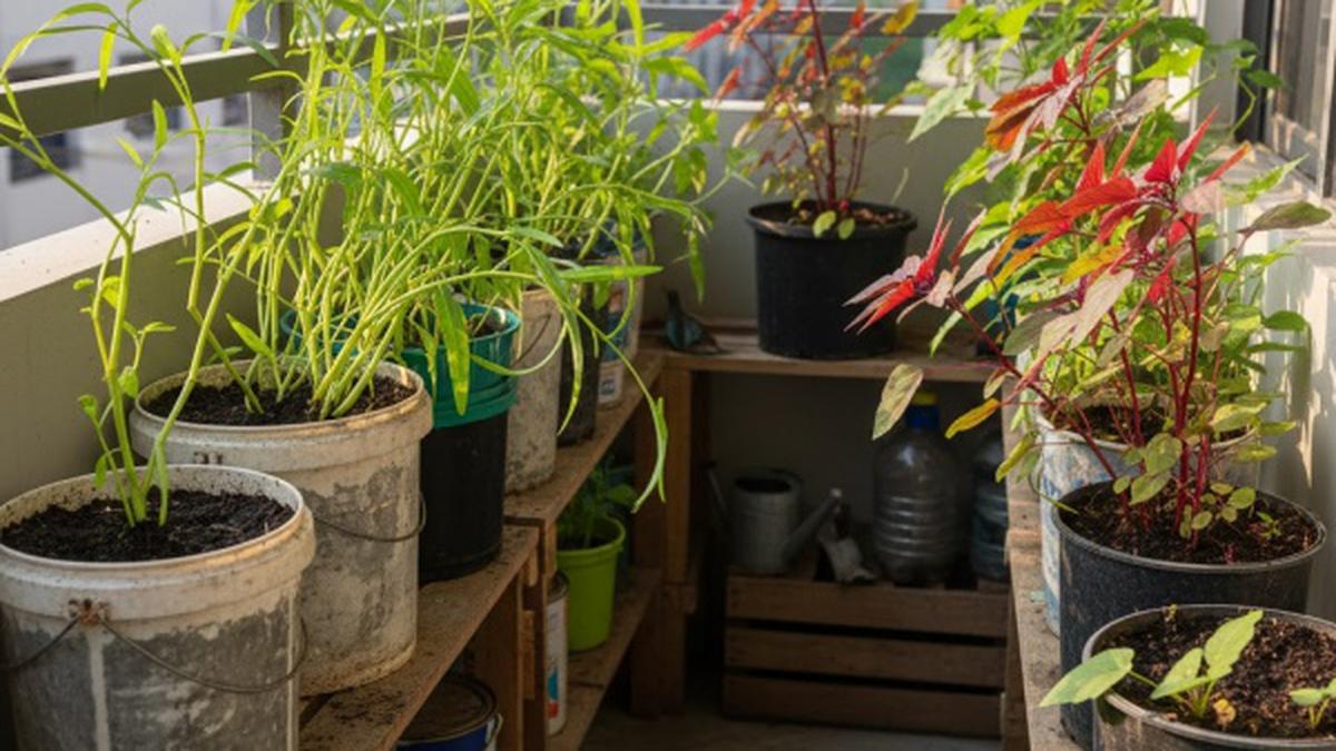 7 Desain Kebun Sayur Rumahan yang Cocok untuk Kangkung dan Bayam, Optimalkan Lahan