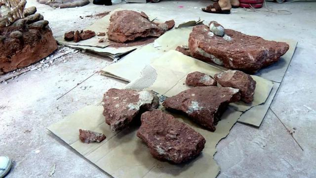 Asyik Main Tanah, Bocah Malah Temukan Telur Dinosaurus