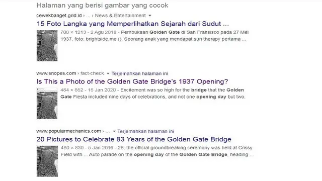 Gambar Tangkapan Layar Penelusuran Foto dengan Google Reverse Image.