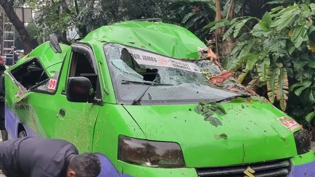 Pohon Tumbang Timpa Angkot Hingga Ringsek di Bogor