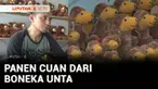 Boneka ternyata tidak hanya identik untuk anak-anak perempuan, tapi bisa juga untuk anak laki-laki sampai dewasa. Bentuknya pun beragam, seperti boneka unta yang laris dipesan pada saat iduladha. Salah satu produsen boneka di Kudus, Jawa Tengah. Bera...