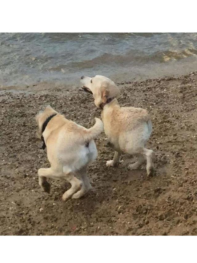 6 Potret Panorama Gagal Ini Enggak Cuma Bikin Bingung Tapi Juga Seram