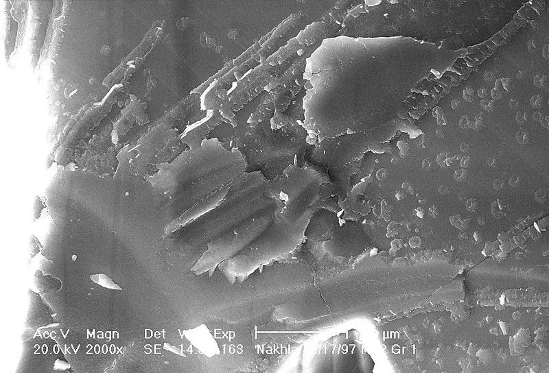 Pemindaian Scanning electron microscope (SEM)  terhadap Meteorit Nakhla yang jatuh di Mesir pada 28 Juni 1911 (NASA/David McKay)