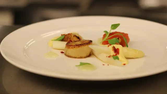Manfaat Scallop untuk Kesehatan