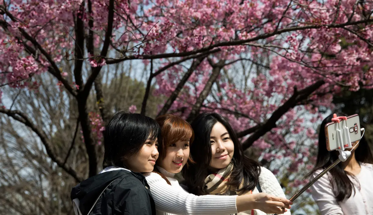 Tiga orang wanita berpose dengan latar Bunga Sakura di kawasan Asakusa Tokyo, Kamis (6/4). Musim mekarnya Bunga Sakura menarik minat wisatawan lokal dan manca negara. (AFP Photo/ Behrouz MEHRI)