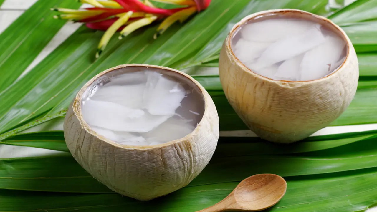 puding kelapa muda