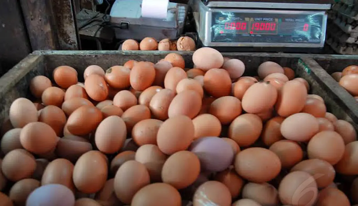 Ilustrasi harga telur ayam (Liputan6.com/Miftahul Hayat)