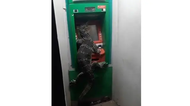 7 Kelakuan Kocak Saat di ATM Ini Bikin Tepuk Jidat