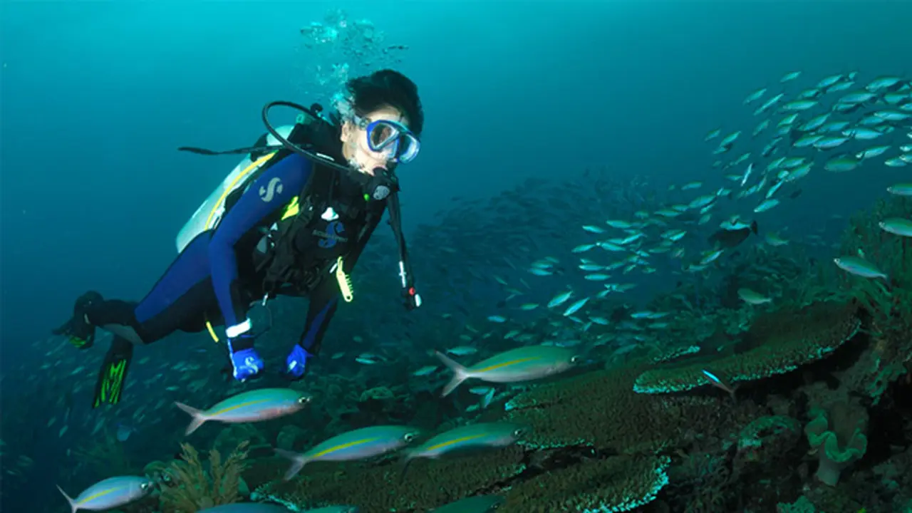 5 Surga Bawah Laut di Indonesia yang Jadi Spot Diving Paling Seru
