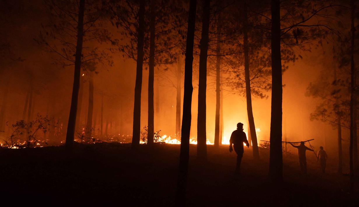 Api juga menyebabkan kerusakan parah pada infrastruktur dan rumah penduduk. Tampak dalam foto, warga bergotong royong memadamkan vegetasi yang terbakar selama kebakaran hutan di kota Florida dekat kota Concepcion, Chile, pada Senin 19 Januari 2026. (Raul BRAVO/AFP)