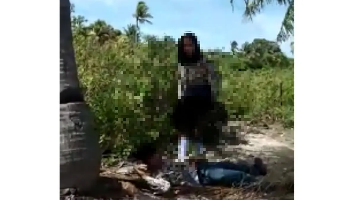 Viral Video Mesum Pelajar Beralaskan Pelepah Daun Kelapa di Majene -  Regional Liputan6.com